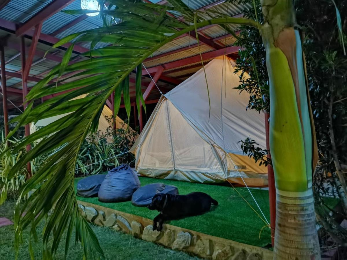 شقة بنغلاو  في Glamping Alona المظهر الخارجي الصورة